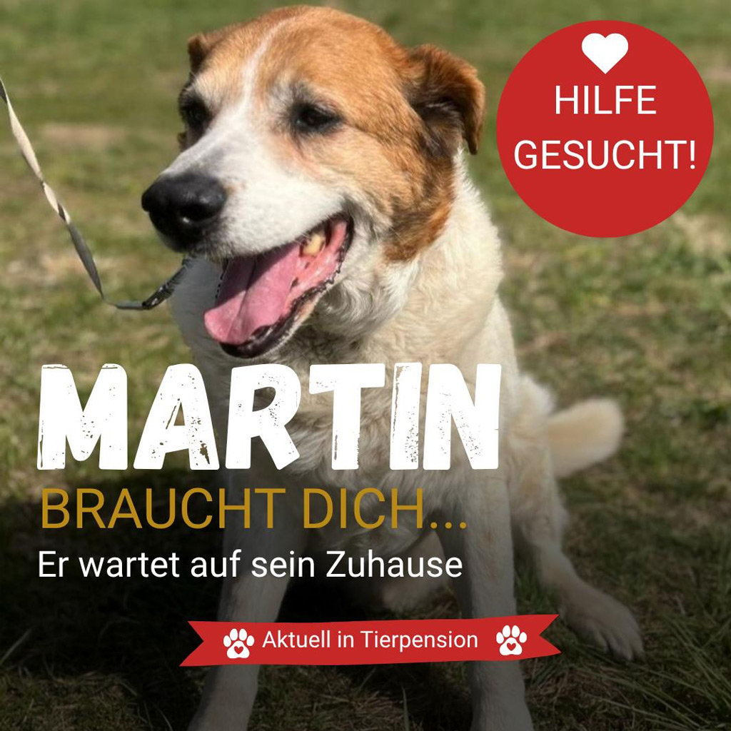 Pensionspatenschaft Martin