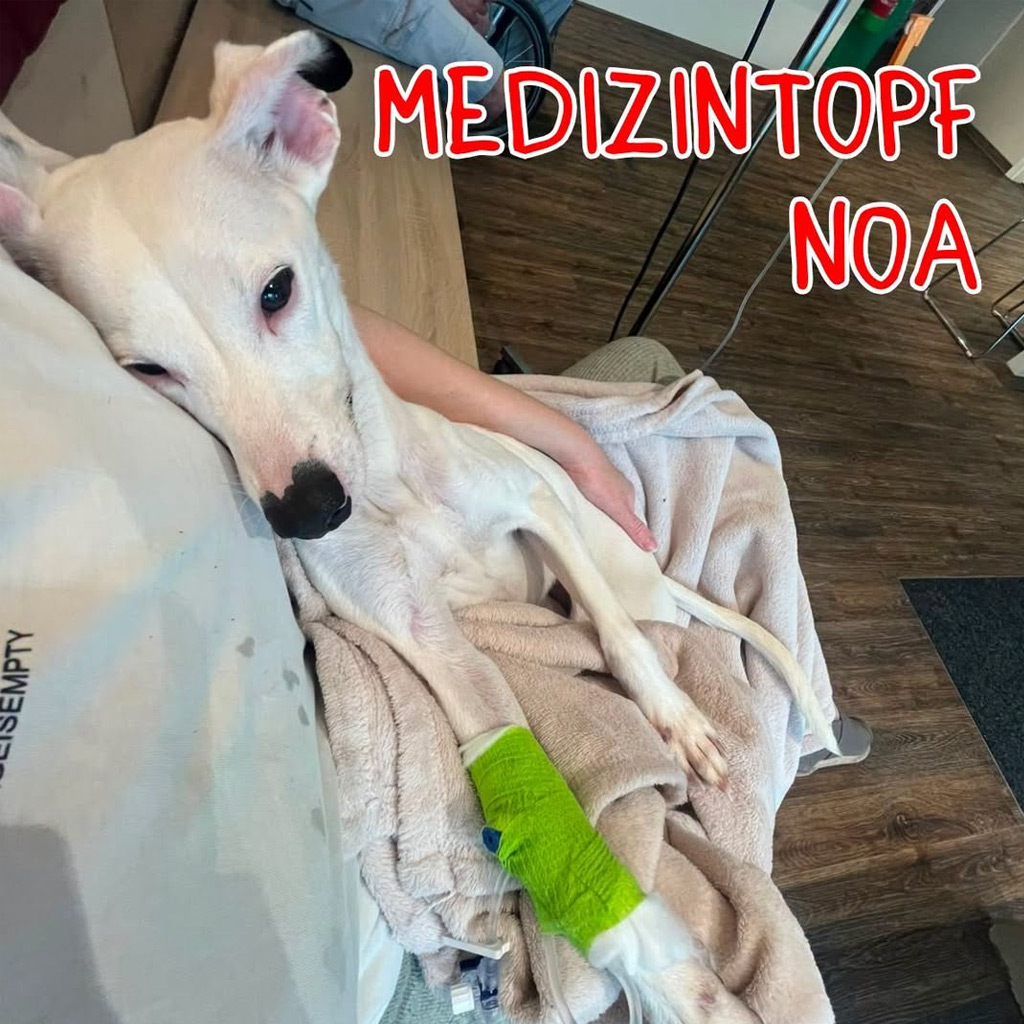 Medizintopf Noa