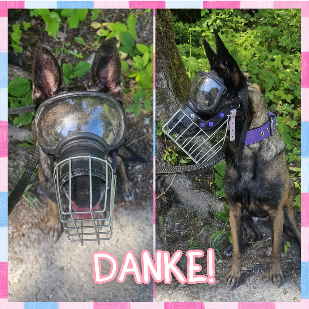 Medizintopf Olivia - Hundebrille.eu