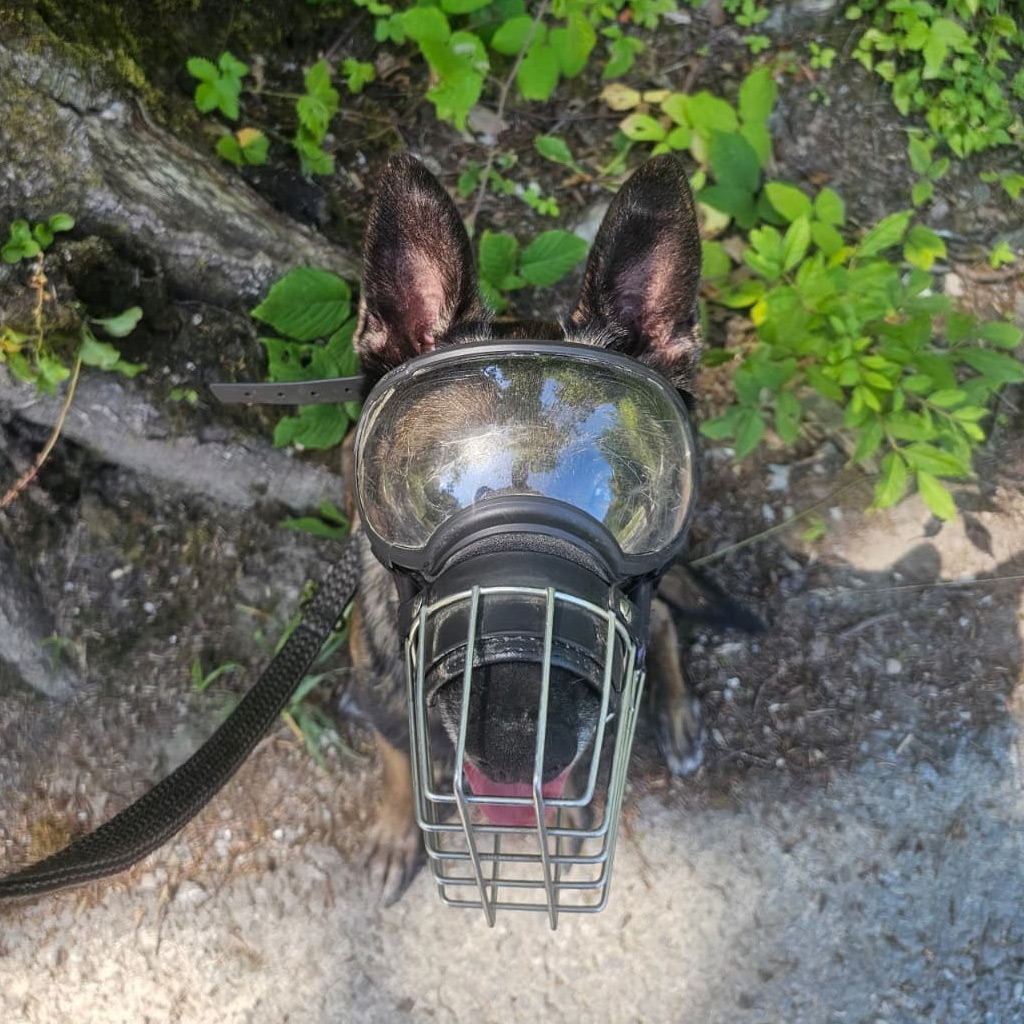 Medizintopf Olivia - Hundebrille.eu