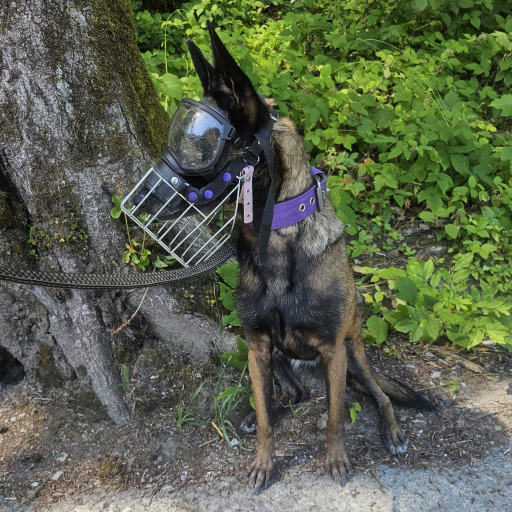 Medizintopf Olivia - Hundebrille.eu