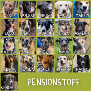 Unterstützung Pensionspatenschaften