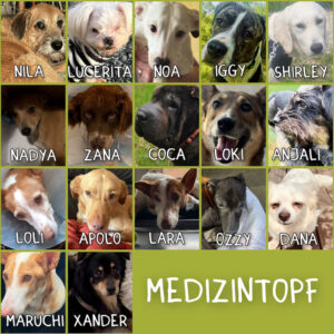 Spendenaufruf SALVA Medizintopf