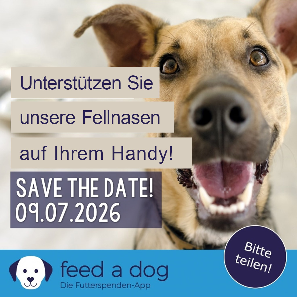 FEED A DOG Aktionstag: 09.07.2026