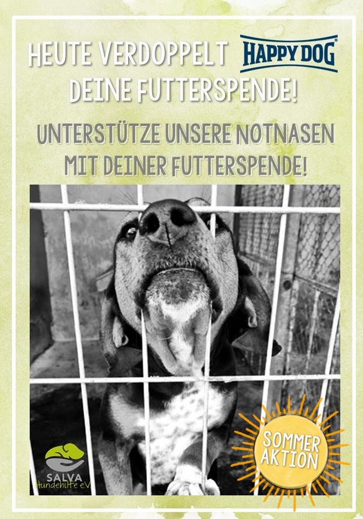 FEED A DOG Aktionstag: 09.07.2026