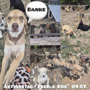 FEED A DOG Aktionstag: 09.07.2026