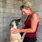 Malinois Mischling Felicity, 06/2024, ca. 50 cm