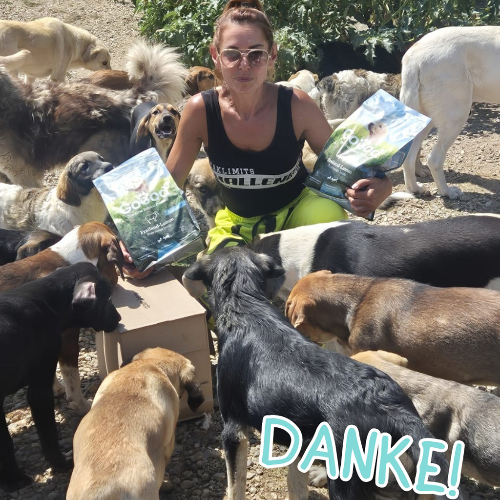 FEED A DOG Aktionstag: 09.07.2026 - DANKE!
