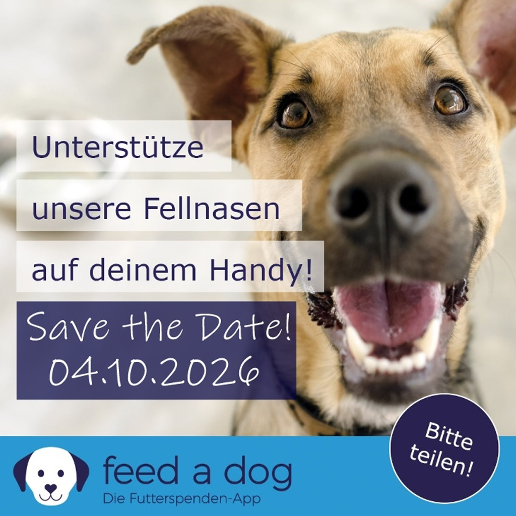 FEED A DOG Aktionstag 04.10.2026