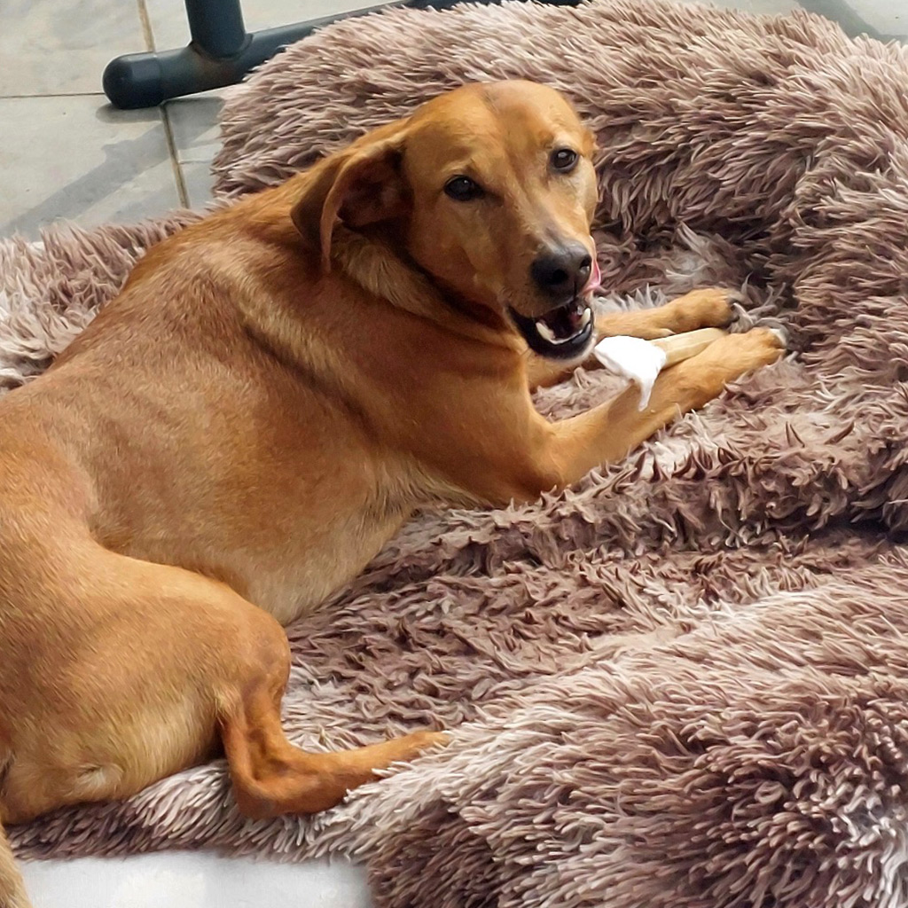 Happy End Stories: Kane, ein Leben im Dunkeln.
