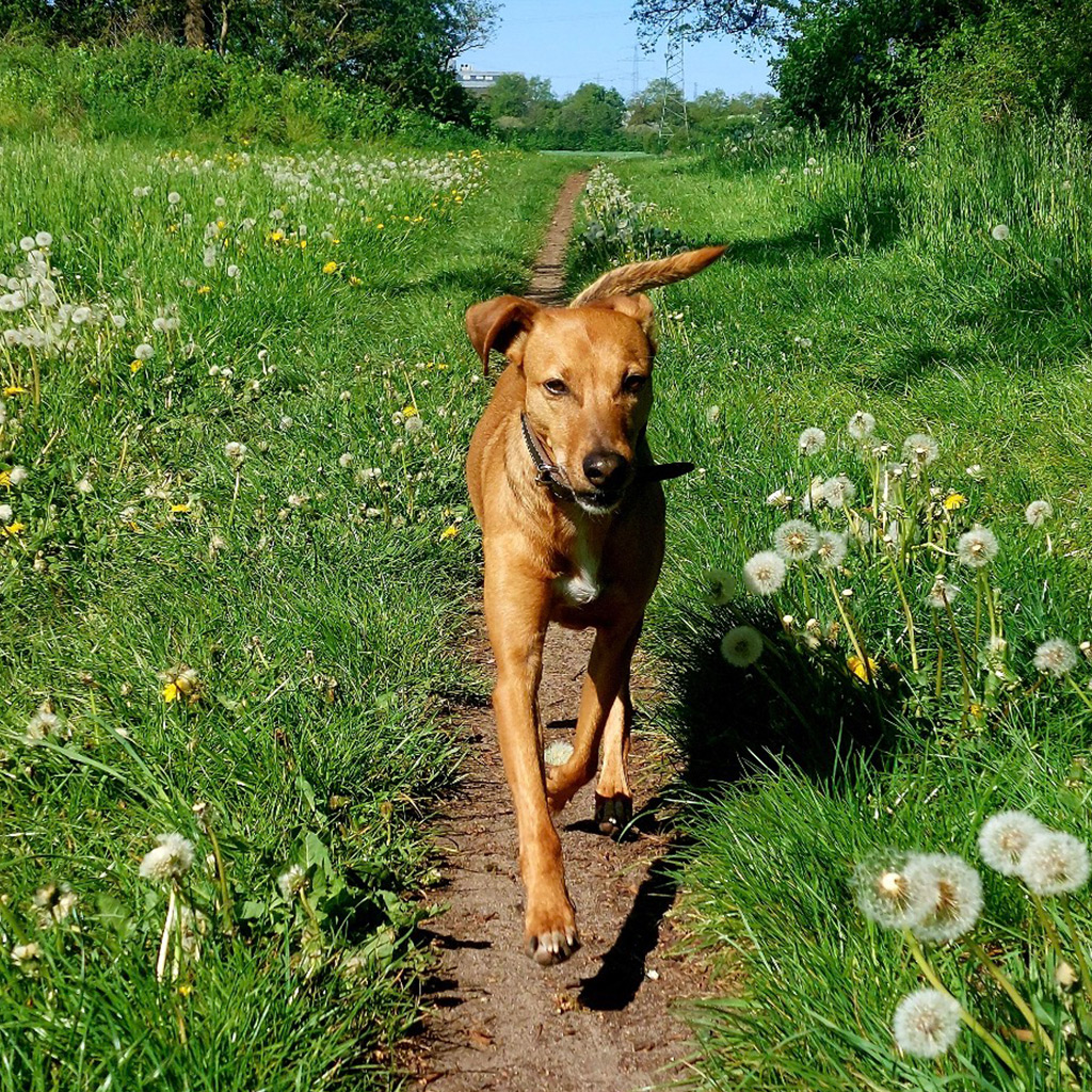 Happy End Stories: Kane, ein Leben im Dunkeln.