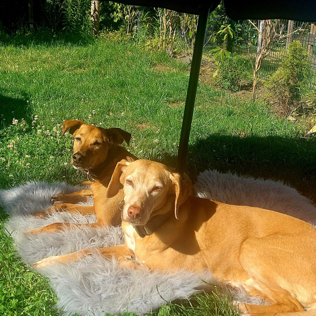 Happy End Stories: Kane, ein Leben im Dunkeln.