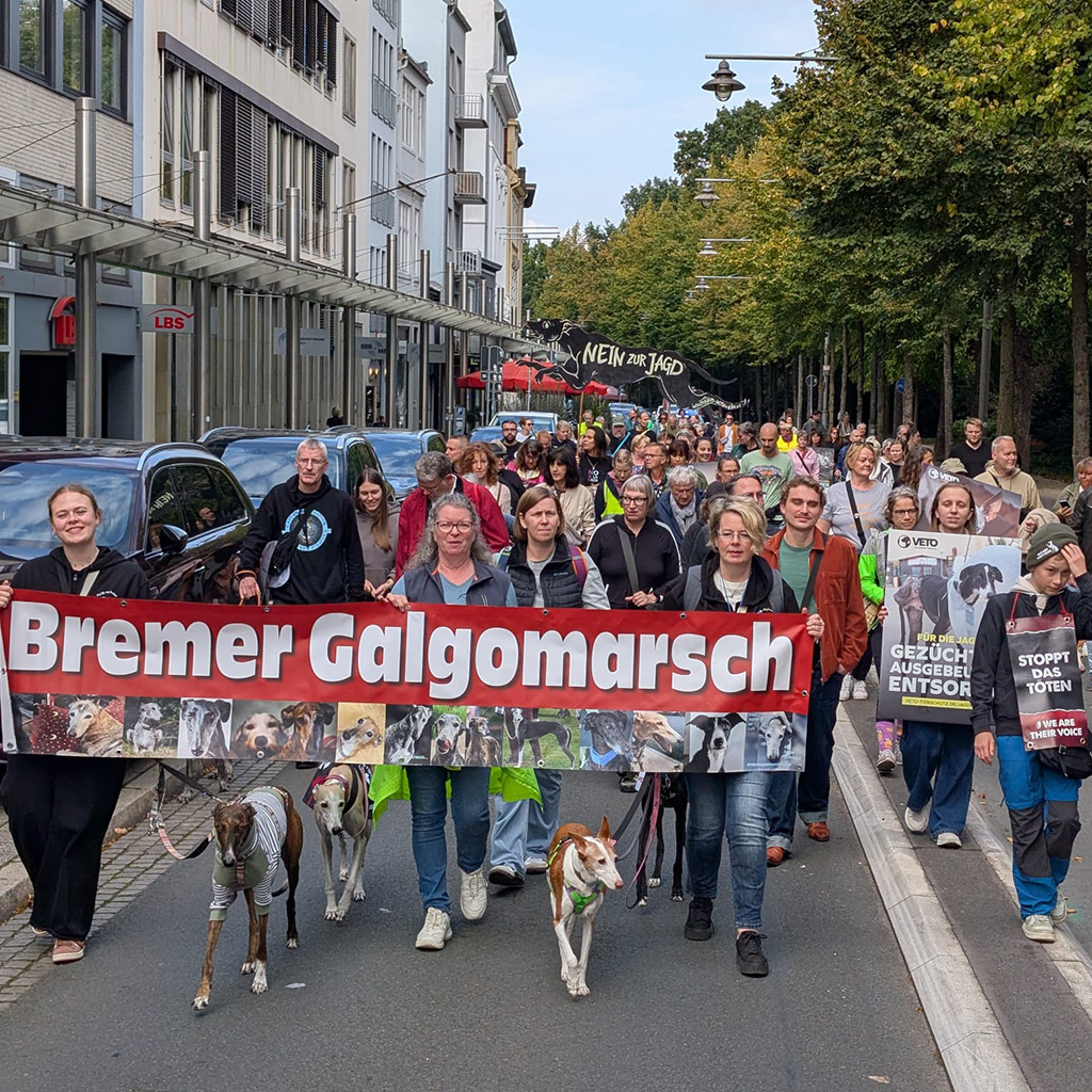 Galgomarsch am 26.09.2026 in Bremen