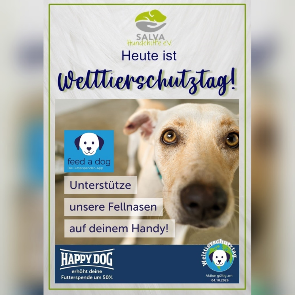 FEED A DOG Aktionstag 04.10.2026. - Welttierschutztag!
