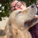 Golden Retriever Ortxi, 08/2019, ca. 55 cm